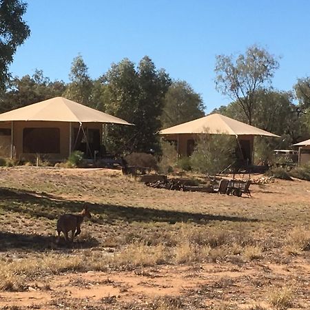 Squeakywindmill Boutique Tent B&B Alice Springs Exterior foto