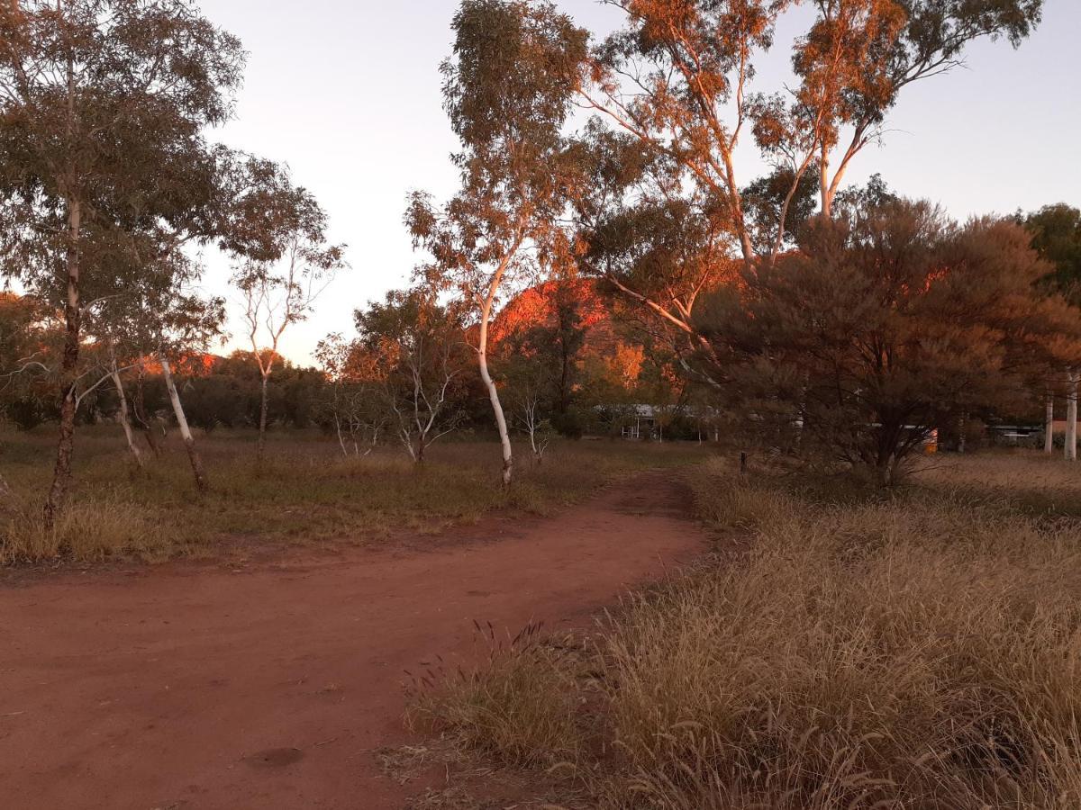 Squeakywindmill Boutique Tent B&B Alice Springs Exterior foto