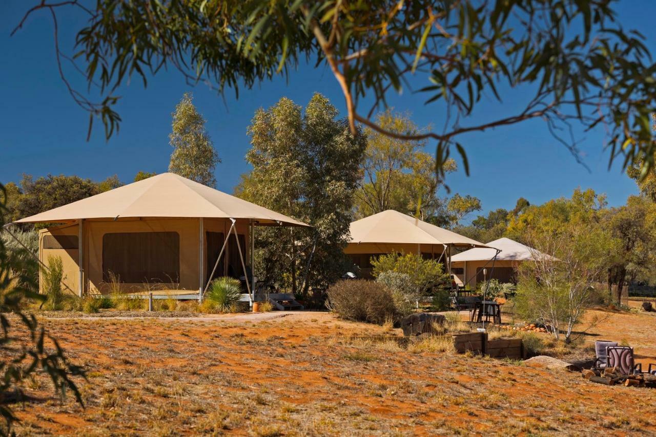 Squeakywindmill Boutique Tent B&B Alice Springs Exterior foto