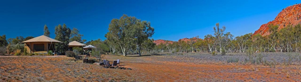 Squeakywindmill Boutique Tent B&B Alice Springs Exterior foto